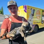 Professional pet grooming team members caring for dogs at Outlet Mobile Pet Grooming
